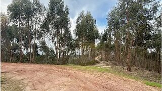 Terreno em Torres Vedras · 62 440 m² · 156 000 €