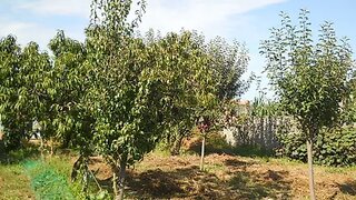 Land for sale in Ovar, Portugal — €110,000