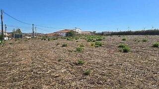Land for sale in Torres Vedras, Portugal — €170,000