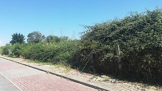 Land for sale in Viana do Castelo, Portugal — €53,000