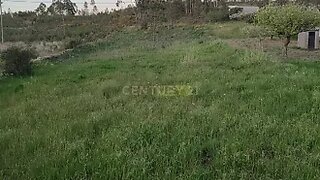 Land for sale in Castelo Branco, Portugal — €29,000