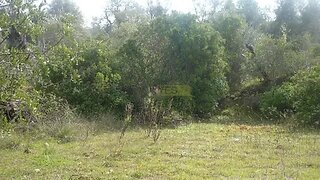 Land for sale in Loulé, Portugal — €35,000