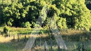 Land for sale in Sever do Vouga, Portugal — €10,500