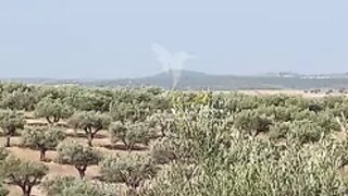 Land · 8,750 m² · €8,500
