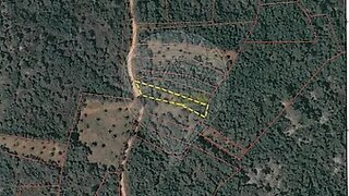 Terreno em Tomar