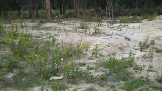 Land for sale in Águeda, Portugal — €57,500