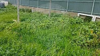 Land for sale in Barreiro, Portugal — €99,500