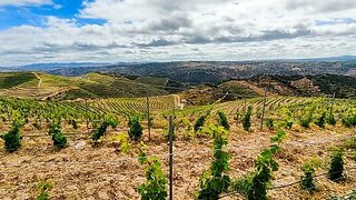 Land for sale in Mêda, Portugal — €550,000