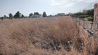 Land for sale in Ílhavo, Portugal — €85,000