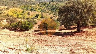 Terreno em Tavira