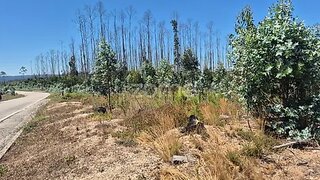 Terreno de 3240 m² em Leiria