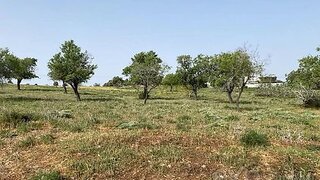 Land for sale in Olhão, Portugal — €615,000