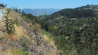 Land for sale in Marco de Canaveses, Portugal — €60,000