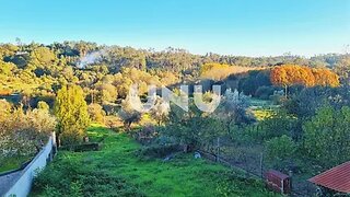 Land for sale in Viseu, Portugal — €55,000
