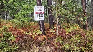 Land for sale in Sertã, Portugal — €30,000