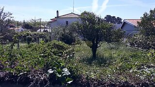 Land for sale in Vila Nova de Gaia, Portugal — €1,350,000