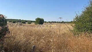 Terreno em Serpa · 5250 m² · 73 400 €
