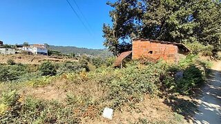 Terreno em Vale de Cambra