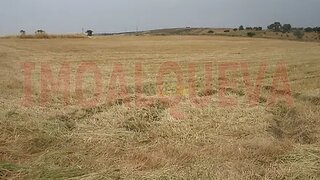 Land for sale in Reguengos de Monsaraz, Portugal — €35,000