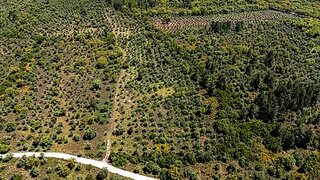 Land for sale in Borba, Portugal — €550,000