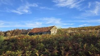 Land for sale in Baião, Portugal — €80,000