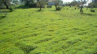 Terreno em Olhão