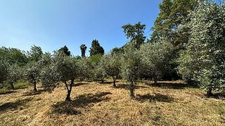 Land for sale in Alvaiázere, Portugal — €22,000
