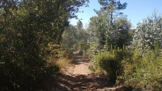 Land for sale in Alcobaça, Portugal — €35,000