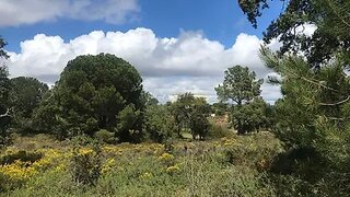 Land for sale in Silves, Portugal — €77,000