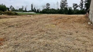 Terreno de 5460 m² em Aveiro
