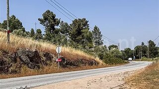 Land for sale in Celorico da Beira, Portugal — €23,000