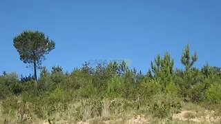 Land for sale in Coimbra, Portugal — €95,000