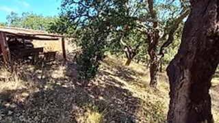 Land for sale in Santiago do Cacém, Portugal — €350,000