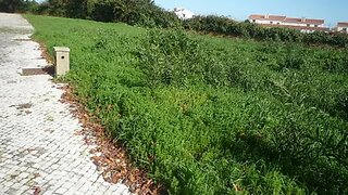 Terreno para venda em Albergaria-a-Velha, Portugal — 143 500 €