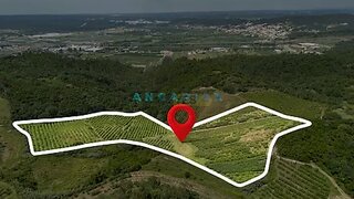 Land for sale in Alcobaça, Portugal — €152,000