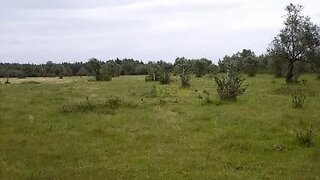 Land for sale in Montemor-o-Velho, Portugal — €52,000