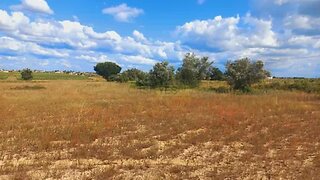 Land for sale in Palmela, Portugal — €345,000