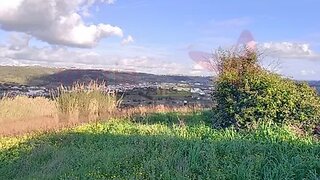 Land for sale in Bombarral, Portugal — €63,000