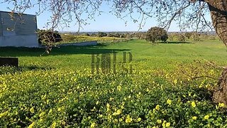 Land for sale in Cartaxo, Portugal — €29,000