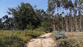 Land for sale in Águeda, Portugal — €118,000