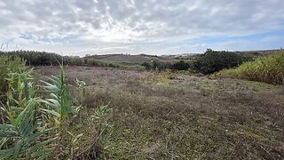 Land for sale in Mafra, Portugal — €50,000