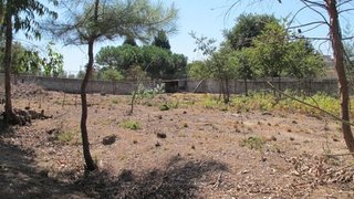 Land for sale in Santa Comba Dão, Portugal — €29,000