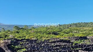 Land for sale in São Roque do Pico, Portugal — €70,000