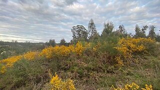Land for sale in Tondela, Portugal — €45,000