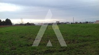 Land for sale in Ílhavo, Portugal — €53,000