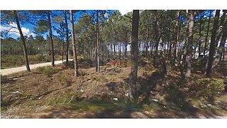 Land for sale in Sesimbra, Portugal — €216,000
