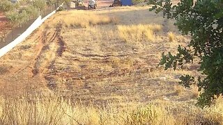 Land for sale in São Brás de Alportel, Portugal — €50,000