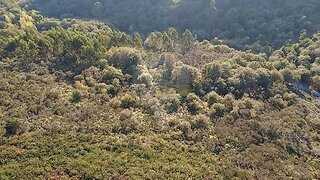 Terreno em Vila Verde · 5902 m² · 20 000 €
