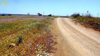 Land for sale in Castro Marim, Portugal — €19,000