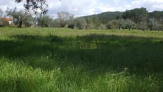 Land for sale in Condeixa-a-Nova, Portugal — €75,000